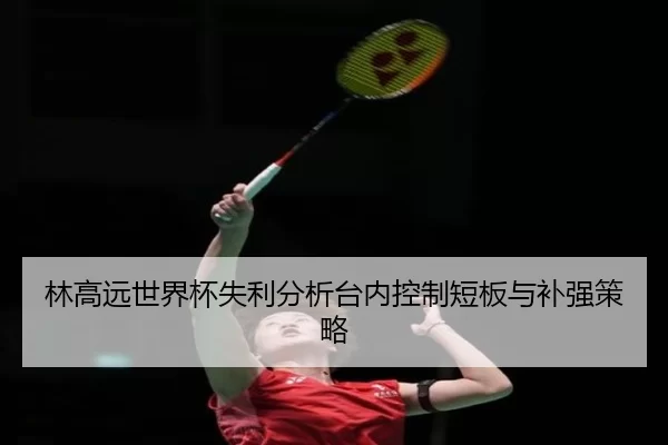 林高远世界杯失利分析台内控制短板与补强策略